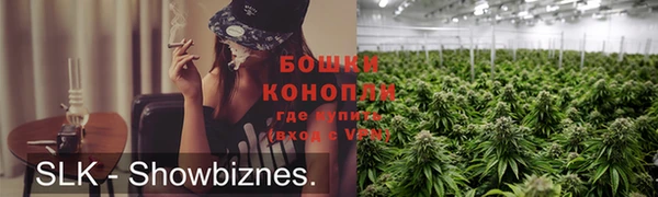ГАЛЛЮЦИНОГЕННЫЕ ГРИБЫ Аркадак
