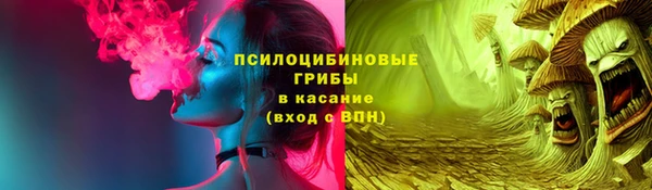ГАЛЛЮЦИНОГЕННЫЕ ГРИБЫ Аркадак