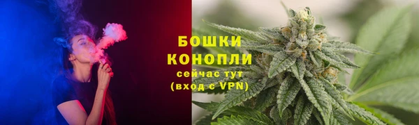 ГАЛЛЮЦИНОГЕННЫЕ ГРИБЫ Аркадак