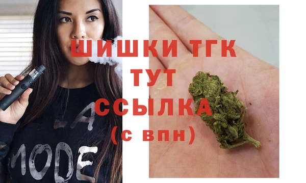 ГАЛЛЮЦИНОГЕННЫЕ ГРИБЫ Аркадак